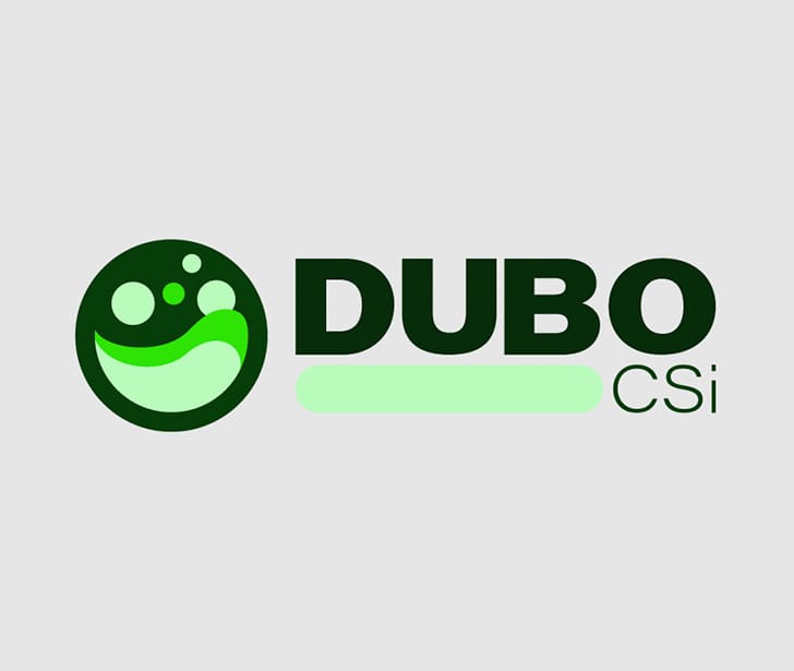 Dubo CSi Logo, horizontal on light